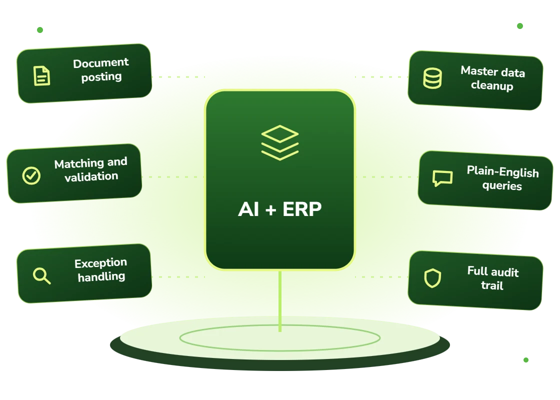 AI ERP integration for document posting, matching and validation, exception handling, master data cleanup, plain-English queries and a full audit trail
