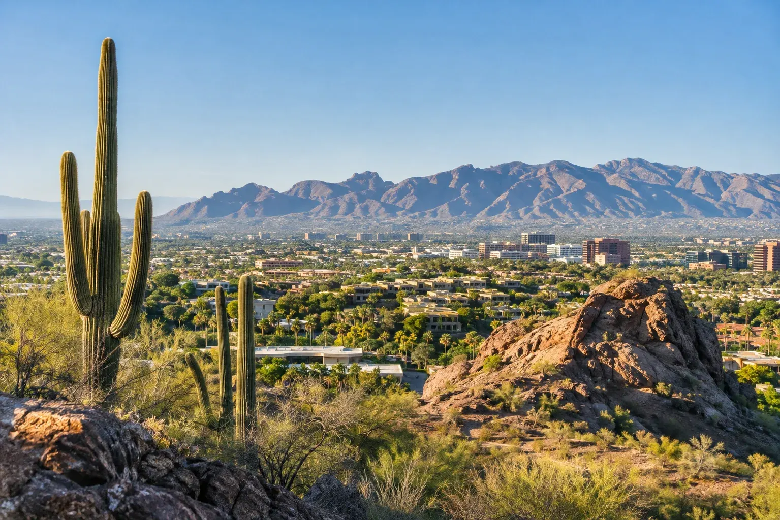 Saguaro cacti and desert mountains near Phoenix
